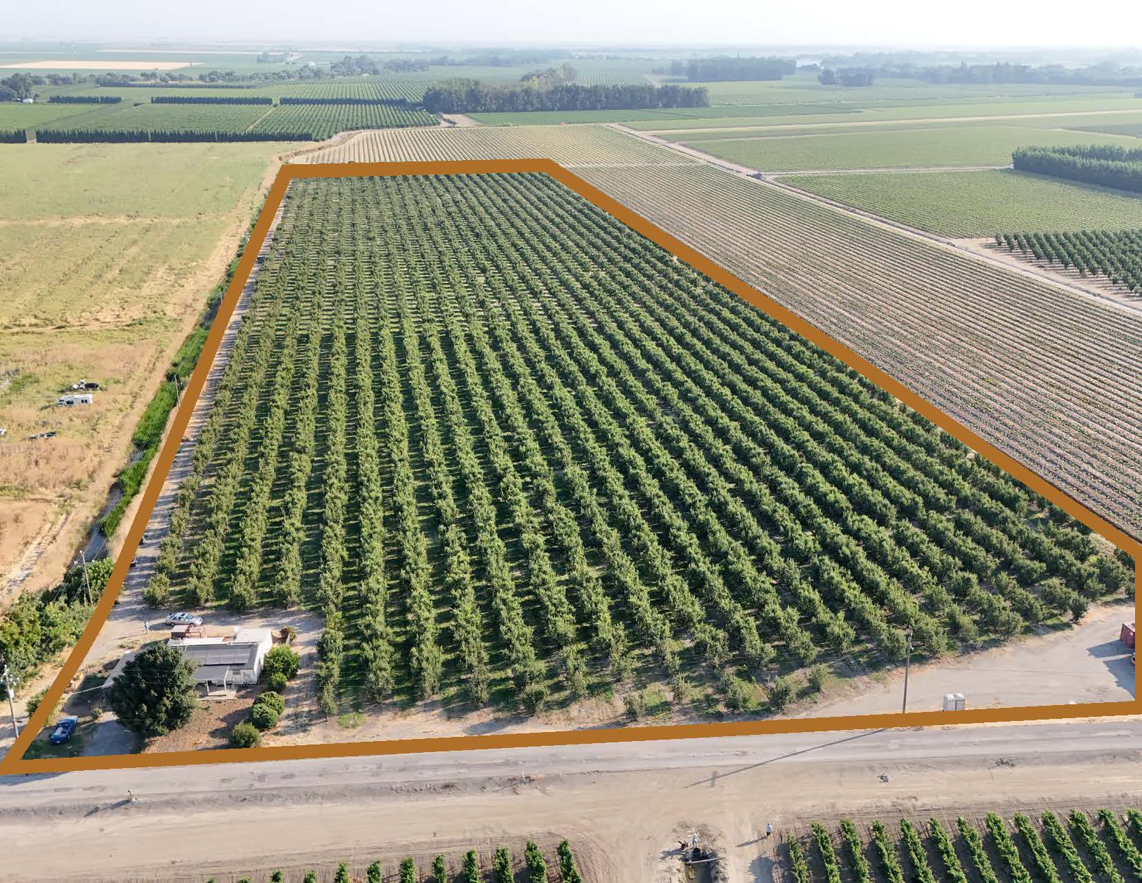 Pearadise Orchards